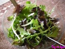 Salade de Mesclun