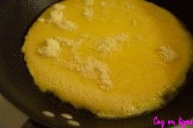 Omelette au parmesan